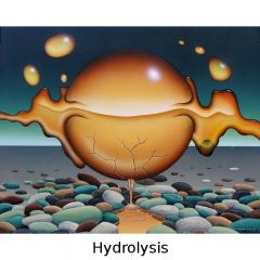 hydrolysis-700-title