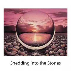 13-shedding-into-the-stones-with-title