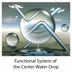 105-functional system-of-the-center-water-drop-with-title