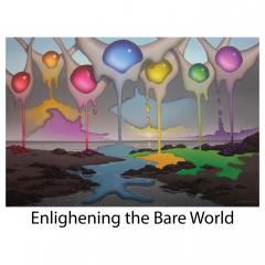enlightening-the-bare-world-title