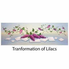 tranformation-of-lilacs-title