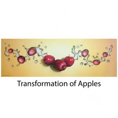 transformation-of-apples-title