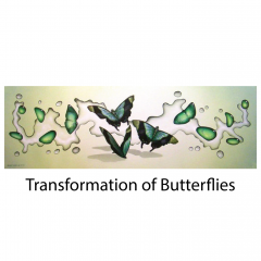 transformation-of-butterflies-title