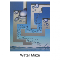 water-maze-title